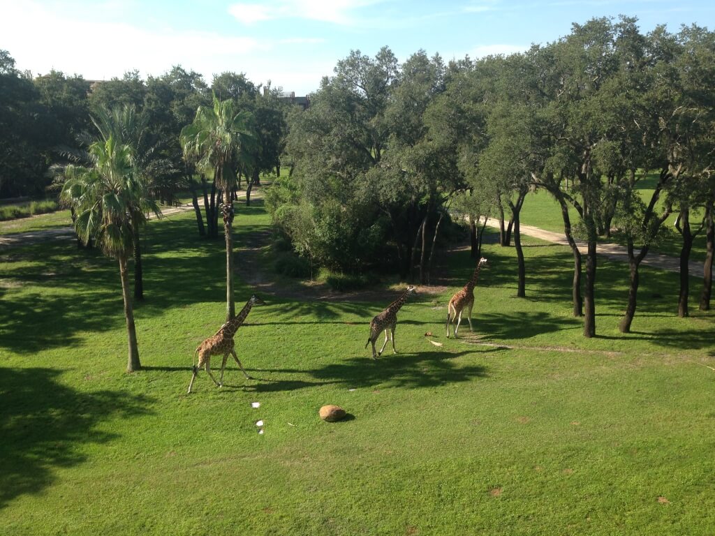 (2015-08-26) Hotel Room View