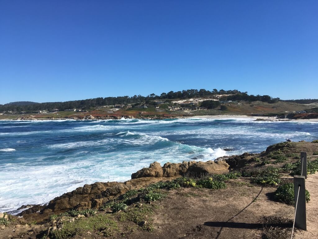 (2016-12-02) 17 Mile Drive