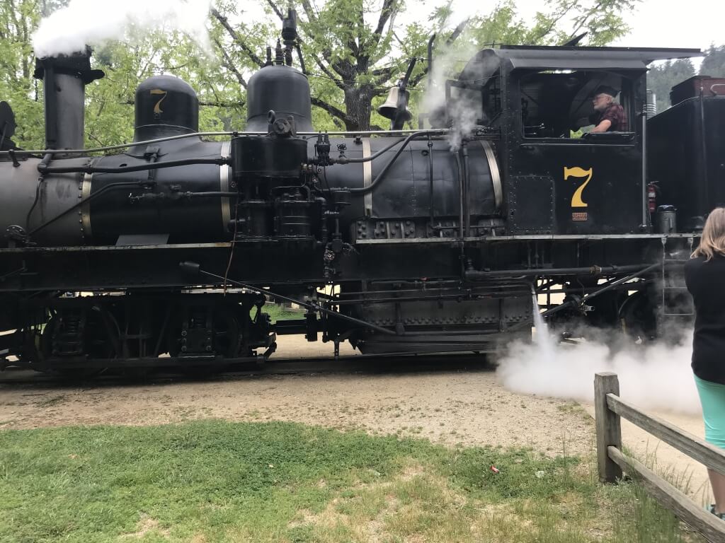 (2018-05-03) Roaring Camp Redwoods