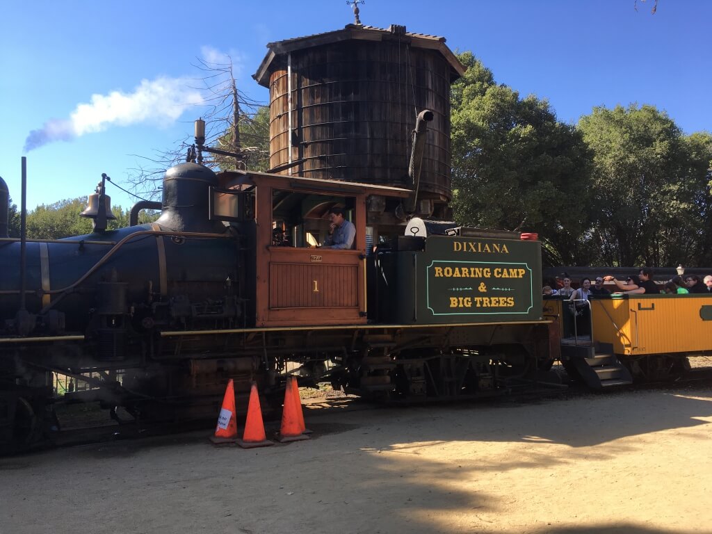 (2018-10-20) Roaring Camp Redwoods