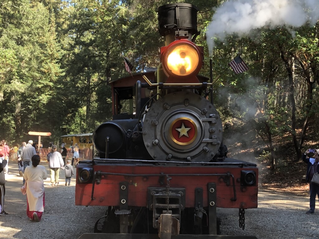 (2019-10-17) Roaring Camp Redwoods