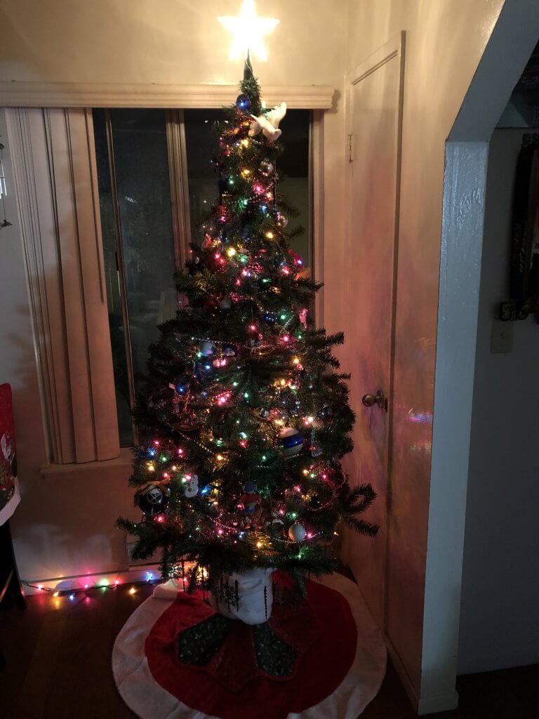 (2019-12-3) Christmas Decorations