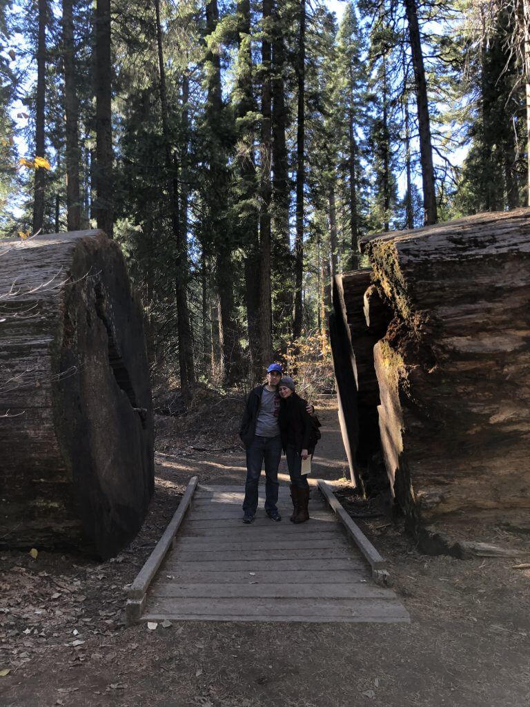 (2020-12-05) Calaveras Big Trees State Park