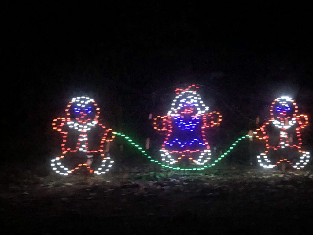 (2020-12-22) Fantasy of Lights