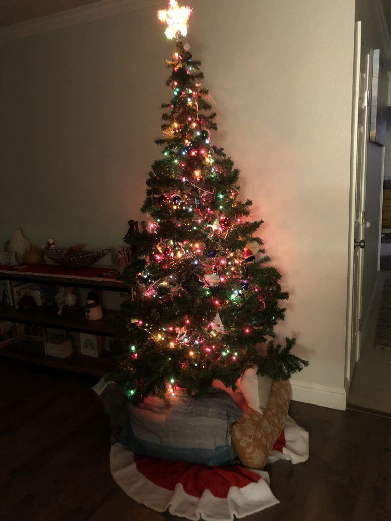 (2021-12-21) Christmas Tree