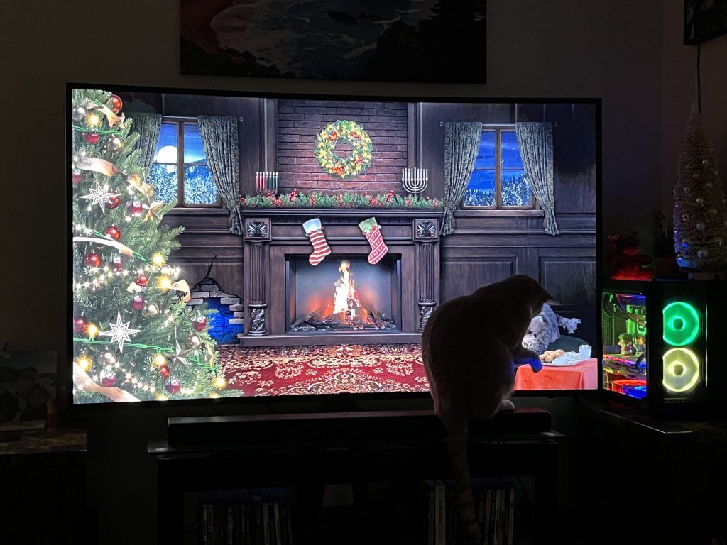 (2022-12-23) Maple & TV