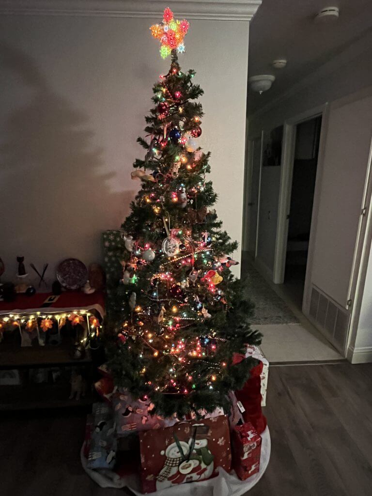 (2022-12-23) Tree with Presents